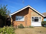 Thumbnail for sale in Shirley Court, Jaywick, Clacton-On-Sea