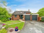 Thumbnail to rent in Butterbur Close, Chester