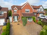 Thumbnail for sale in Stoat Close, Hertford