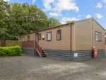 Thumbnail to rent in Rivers Edge, Dollar Lodge And Holiday Park, Dollar, Clackmannanshire