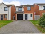 Thumbnail to rent in Stewart Park Avenue, Middlesbrough