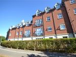 Thumbnail to rent in William Harris Way, Colchester