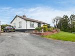 Thumbnail for sale in Tannaghmore Road, Ballynahinch