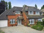 Thumbnail for sale in Post Office Road, Woodham Mortimer, Maldon, Essex