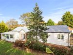 Thumbnail to rent in Trolliloes, Cowbeech, Hailsham, East Sussex