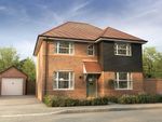 Thumbnail to rent in "The Harwood" at Kempshott Hill, Kempshott, Basingstoke