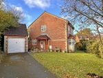 Thumbnail to rent in Caraway Close, Chard