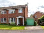 Thumbnail to rent in Raymer Close, St. Albans, Hertfordshire