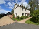 Thumbnail for sale in Old Mill Close, Worlingworth, Woodbridge