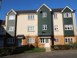 Thumbnail to rent in Bedford Drive, Titchfield Common, Fareham