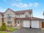 Thumbnail to rent in Orwell Wynd, Hairmyres, East Kilbride