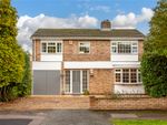 Thumbnail to rent in Dove Road, Bedford, Bedfordshire