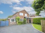 Thumbnail to rent in New Road, Wingerworth, Chesterfield