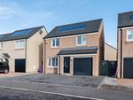 Thumbnail to rent in Finlay Crescent, Arbroath
