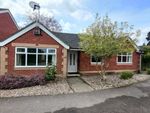 Thumbnail to rent in Claybrooke Magna, Lutterworth