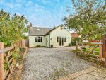 Thumbnail for sale in Petersfield Lane, Gosfield, Halstead