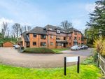 Thumbnail to rent in Limeway Terrace, Dorking, Surrey