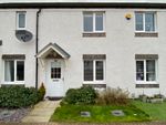 Thumbnail to rent in Hedgerow Drive, Larbert