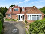 Thumbnail to rent in 75 Station Road, Sutton-In-Ashfield