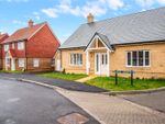 Thumbnail to rent in Uplands Park, Park Road, Hellingly, East Sussex