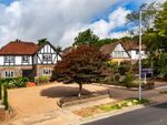 Thumbnail for sale in Woodland Drive, Hove