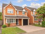 Thumbnail for sale in Thorne Way, Buckland, Aylesbury