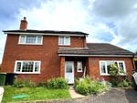 Thumbnail to rent in Peterchurch, Hereford