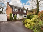 Thumbnail for sale in Hocombe Wood Road, Parish Of Ampfield, Chandlers Ford