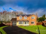 Thumbnail to rent in Stockwood Close, Blackburn