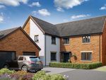 Thumbnail to rent in "The Newhaven" at Lipwood Way, Wynyard, Billingham