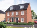 Thumbnail to rent in "The Beech" at Grange Lane, Littleport, Ely