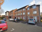 Thumbnail to rent in Upper Gordon Road, Camberley