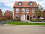 Thumbnail for sale in Limetree Way, Thorpebury In The Limes, Leicester