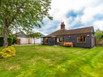 Thumbnail for sale in Fen Road, Pidley, Huntingdon, Cambridgeshire