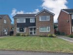 Thumbnail to rent in Langdale, Guisborough, North Yorkshire