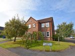 Thumbnail to rent in Ivy Bank Court, Scalby, Scarborough