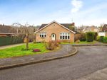 Thumbnail for sale in Finsbury Road, Bramcote, Nottingham, Nottinghamshire