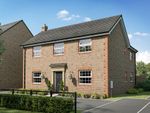 Thumbnail to rent in "The Knightley" at Meadowsweet Way, Ely