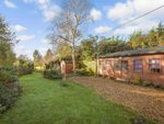 Thumbnail for sale in Level Mare Lane, Eastergate, Chichester, West Sussex