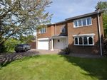 Thumbnail for sale in Hawthorne Way, Ponteland