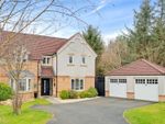 Thumbnail for sale in Bramble Glade, Livingston, West Lothian