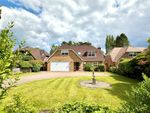 Thumbnail for sale in Lions Lane, Ashley Heath, Ringwood, Dorset