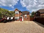 Thumbnail for sale in Rectory Road, Farnborough, Hampshire
