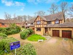 Thumbnail for sale in Elm Way, Heathfield