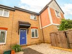 Thumbnail to rent in Peto Avenue, Colchester, Essex