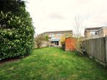 Thumbnail to rent in Marshall Close, Feering, Essex