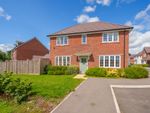 Thumbnail to rent in Lavinia Close, Worcester