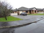 Thumbnail for sale in Parc Bwtrimawr, Betws, Ammanford