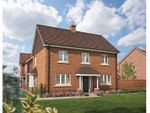 Thumbnail for sale in "Chestnut" at Wallace Avenue, Botley, Southampton