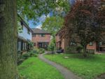 Thumbnail for sale in Lombards Chase, West Horndon, Brentwood